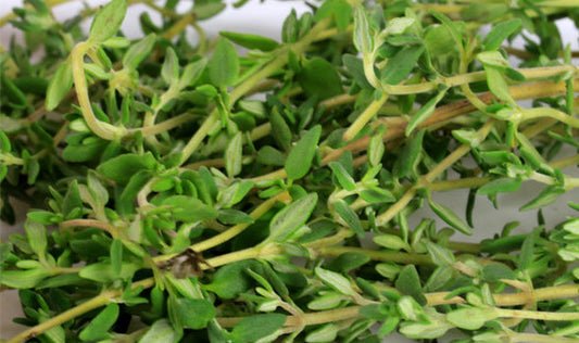 Thyme: Its Health Benefits