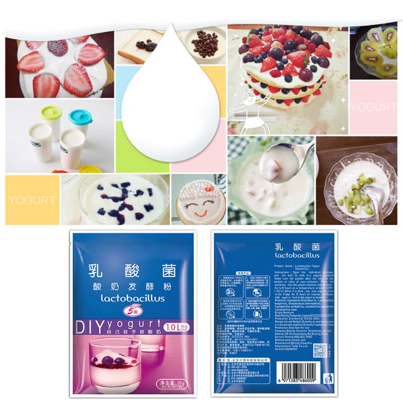 Yogurt Yeast Starter Natural Probiotics Home Made Lactobacillus Fermentation