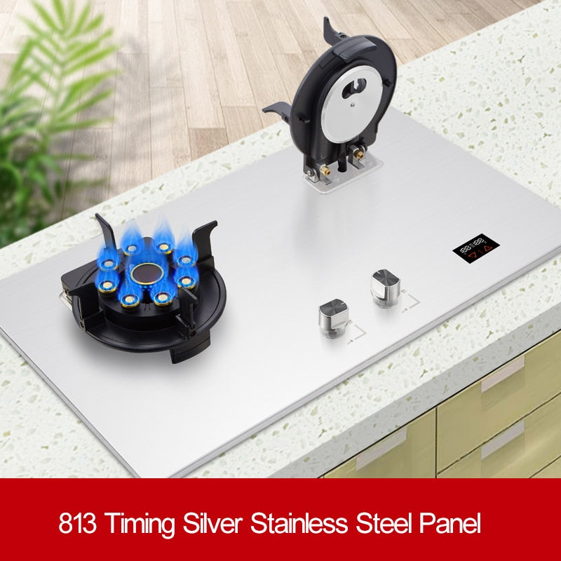 Double Stove Liquefied Gas Stove