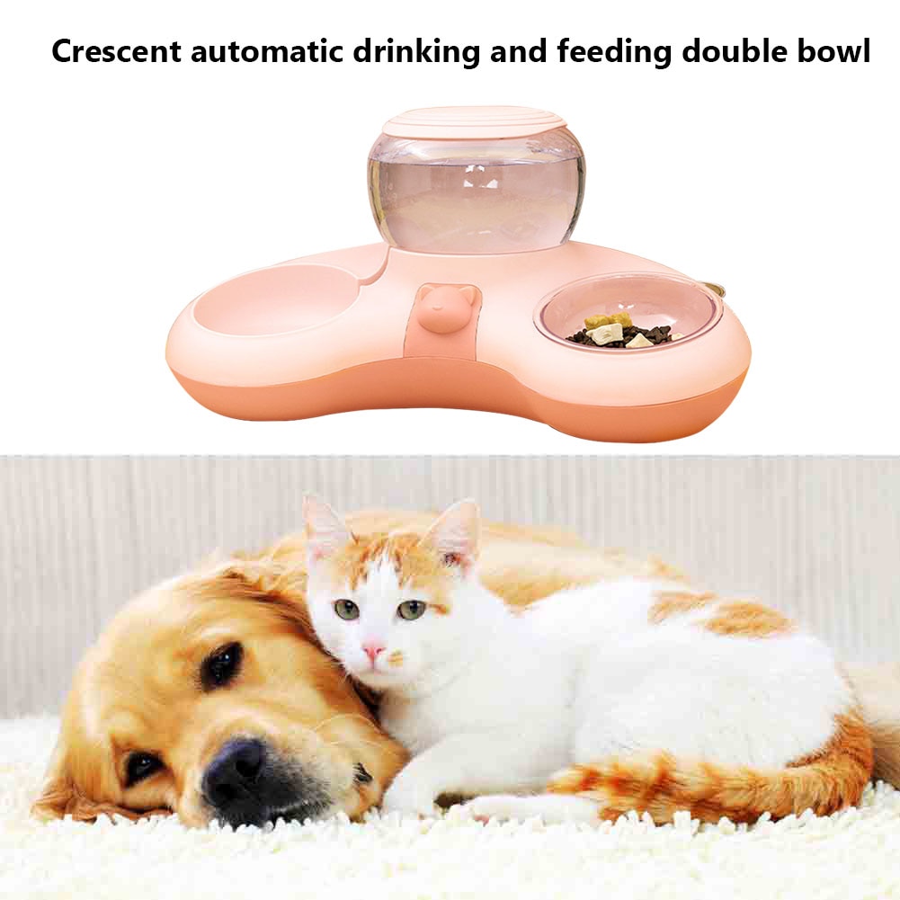 Cat Bowl Automatic Feeder Dog