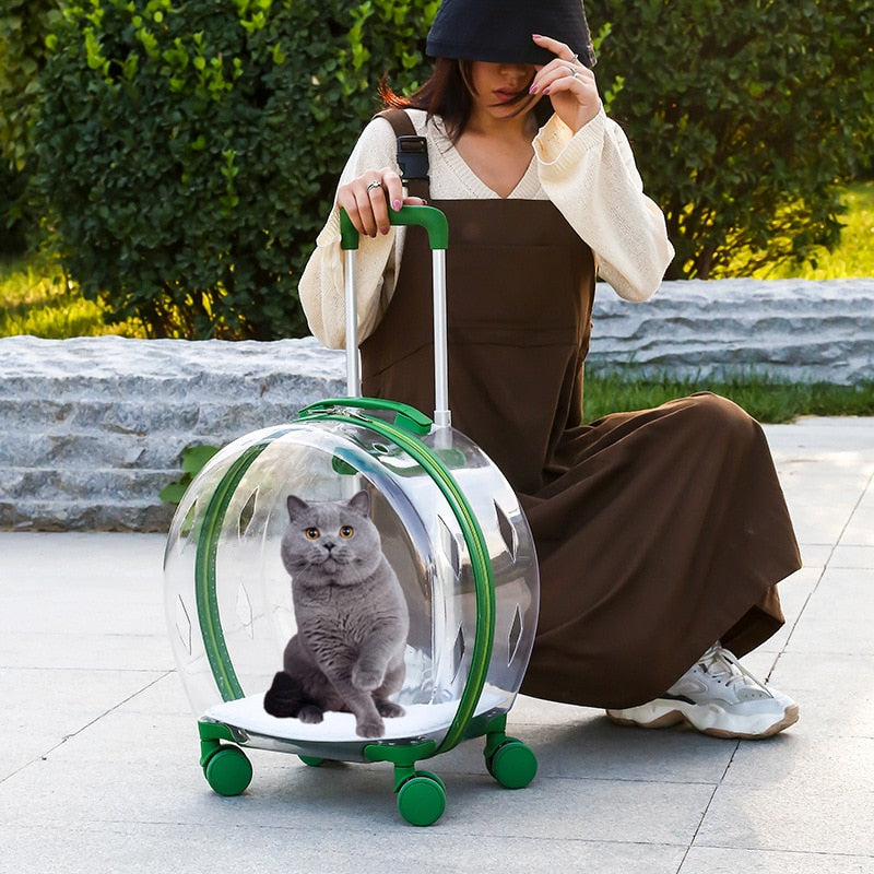 Pet Wheels Stroller Carrier